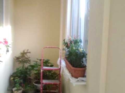 дом по адресу Василя Симоненка ул.
