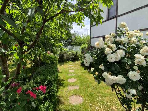 будинок за адресою с. Любимівка, Центральна, 83