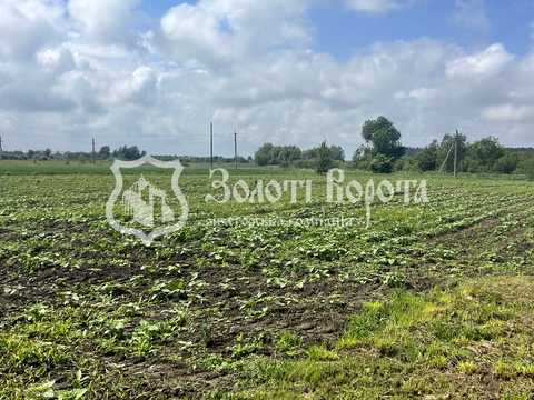 ділянка за адресою с. Перемога, Старокиївська, 103