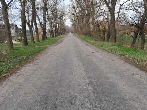 ділянка за адресою Славне