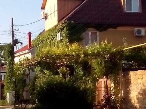 дом по адресу Царское село