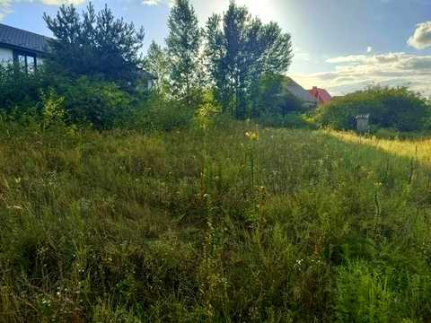ділянка за адресою окружна 19