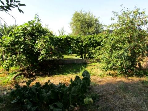 дом по адресу Черкассы, Надпільна, 330