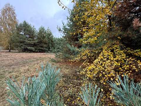 ділянка за адресою с. Абрамівка, 