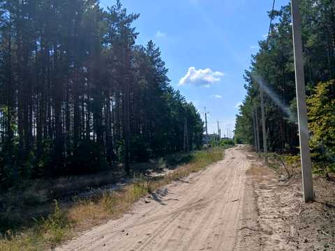 ділянка за адресою Лебедина