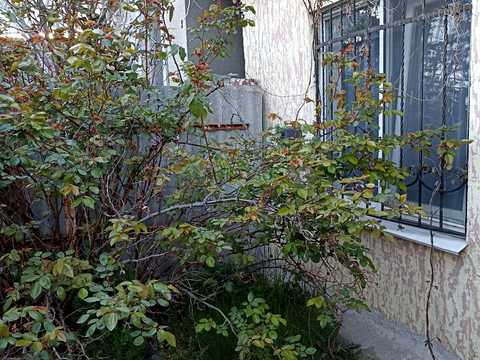 будинок за адресою Жевахова вул.