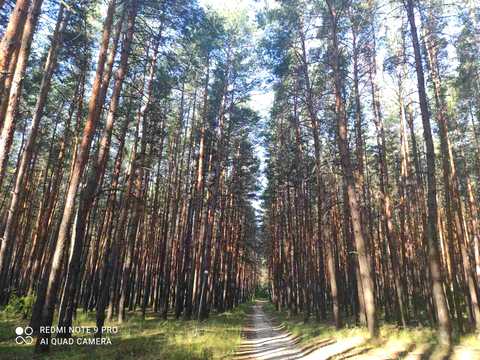 будинок за адресою Мирна