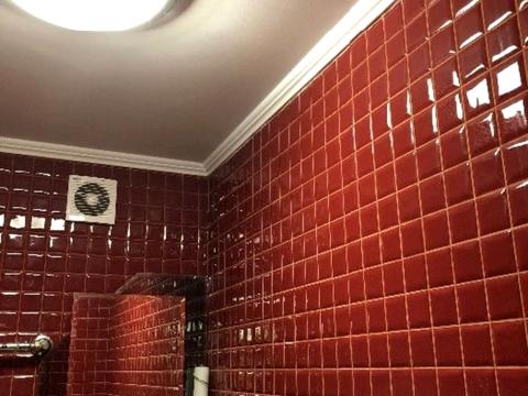 комерційна за адресою Кам'янецька вул., 52