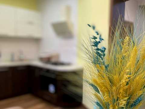 квартира за адресою Полігонна, 10д
