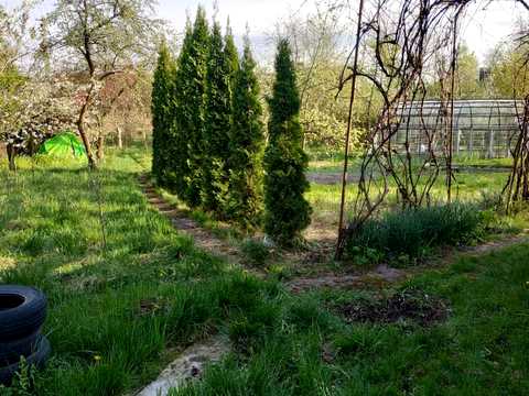 будинок за адресою Антикорозійник