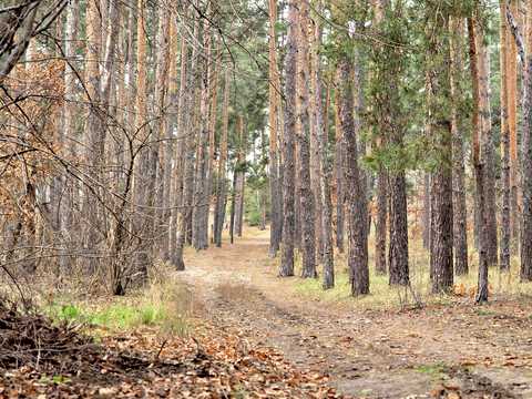 ділянка за адресою Львівська, 36
