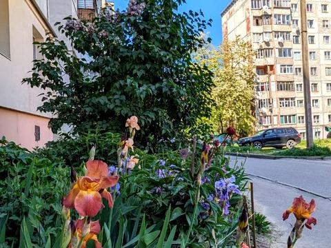 квартира за адресою Захисників Маріуполя вул. (Костромська), 3