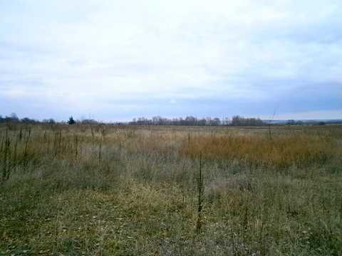 ділянка за адресою Центральна вул. (Леніна), 1
