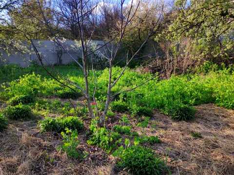 ділянка за адресою кірова, 1б