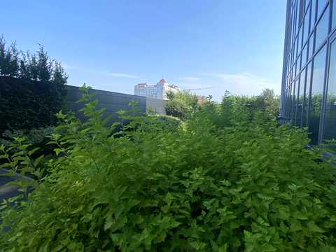 комерційна за адресою Левка Лук'яненка вул. (Маршала Тимошенка), 21к1