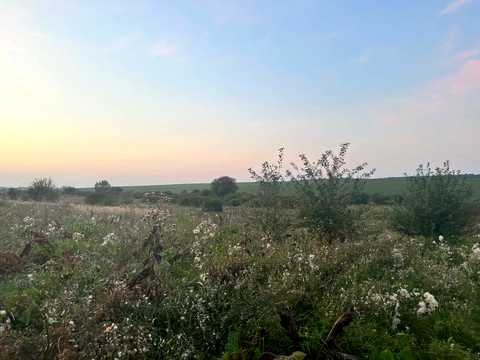 ділянка за адресою с. Лісові Гринівці,