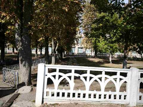 дом по адресу п. Добричи (Первомайское), Нова