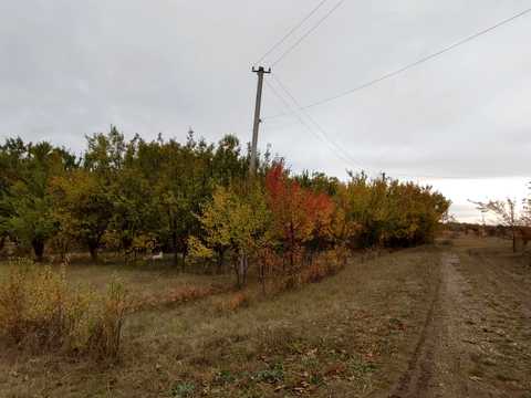 ділянка за адресою Кропивницький, Архітектора Достоєвського вул.