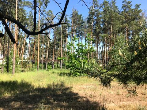 участок по адресу Петра Сагайдачного, 50
