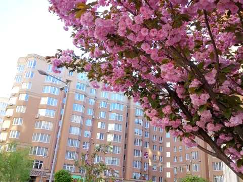 квартира за адресою Молодіжна вул., 7