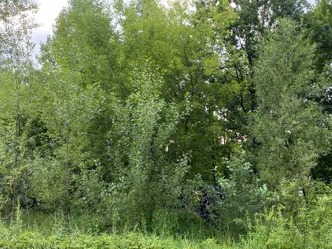 ділянка за адресою смт. Новогуйвинське, Любава СТ