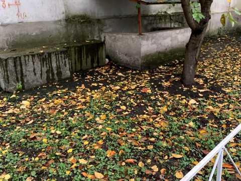 комерційна за адресою Харків, Героїв Харкова просп. (Московський), 131