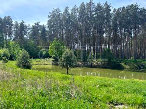будинок за адресою Бориспільський
