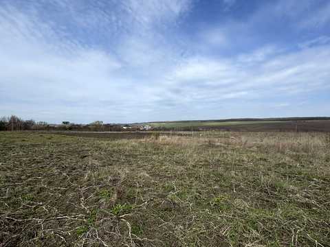 ділянка за адресою с. Лісові Гринівці, 