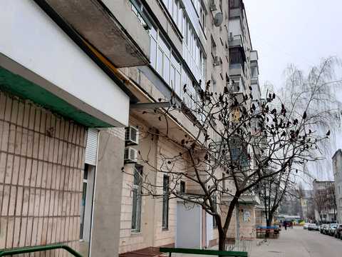 квартира за адресою вул. Харківська , 32