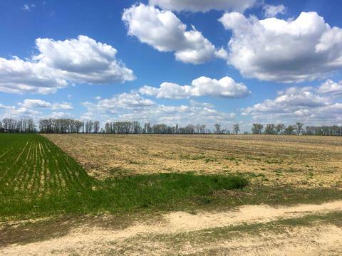 ділянка за адресою Лесі Українки