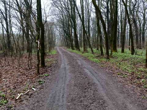 будинок за адресою Дендропаркова вул., 10