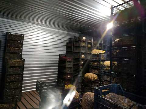 комерційна за адресою Сімї Демуцьких, 91
