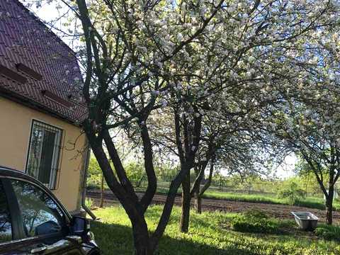 будинок за адресою с. Бендюгівка, Бащенко, 9