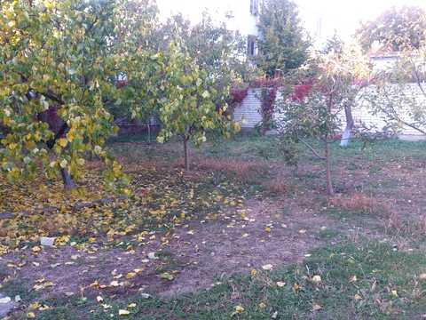 дом по адресу Толбухина ул. (Толбухина)