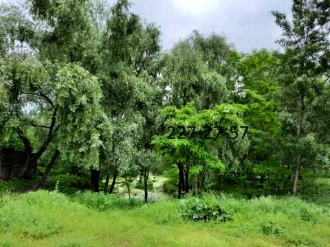 квартира за адресою Олени Пчілки вул., 7