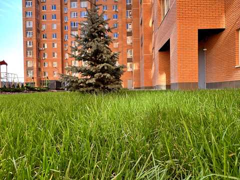 квартира за адресою Миру просп., 2