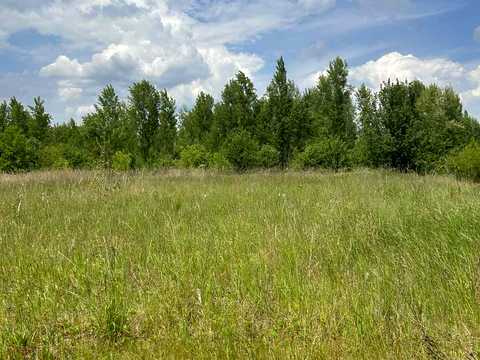 ділянка за адресою с. Вільшка, Івана Франка, 29