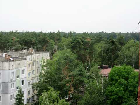 квартира по адресу Паркова ул., 12