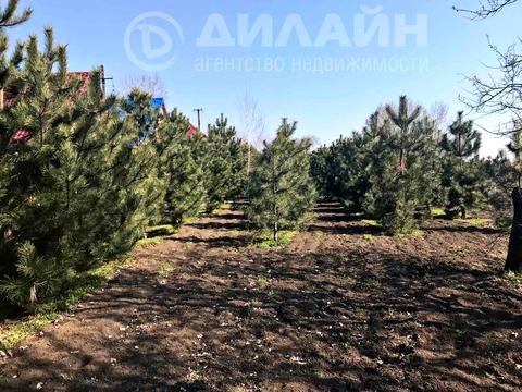 коммерческая по адресу Чапаева, 47