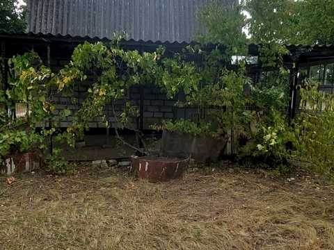 будинок за адресою Хлібна