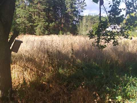 будинок за адресою Вербна, 17