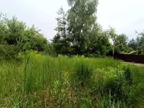участок по адресу