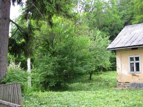 дом по адресу Стефаника, 3