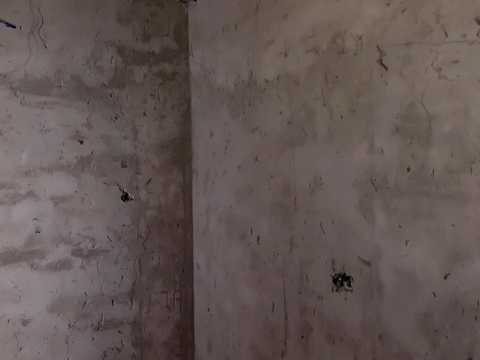 будинок за адресою 1-й Степовий пров., 12