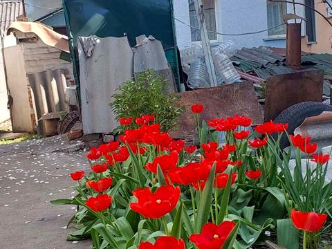 будинок за адресою Брацлавська