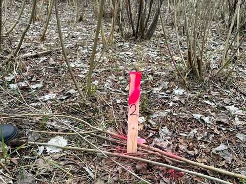 ділянка за адресою 