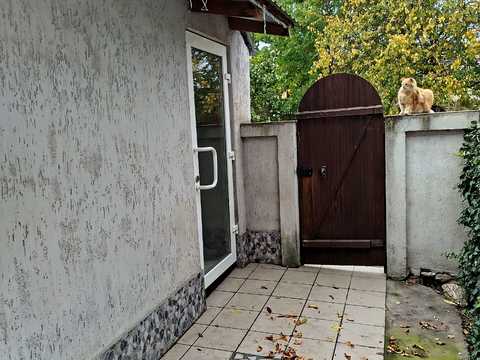 квартира по адресу Чкалова ул. (Чкалова), 52