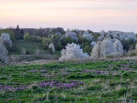 ділянка за адресою с. Теперівка, 