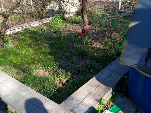 будинок за адресою с. Ходосівка, Грушевая