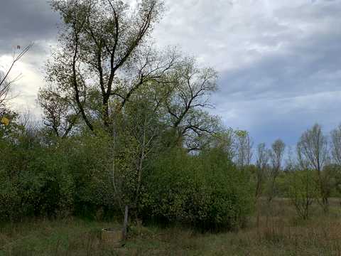 ділянка за адресою с. Новоселівка,